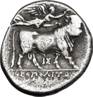 Reverse image