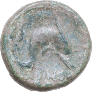 Reverse image