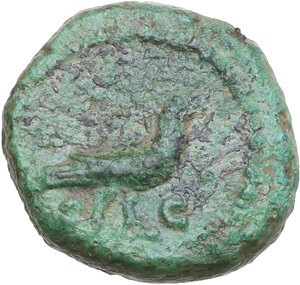 Reverse image