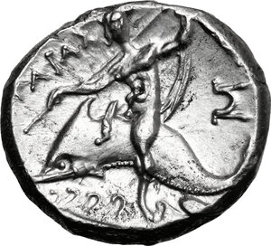 Reverse image