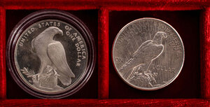Reverse image