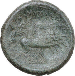 Reverse image