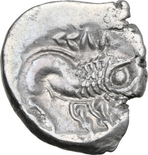 Reverse image