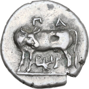 Reverse image