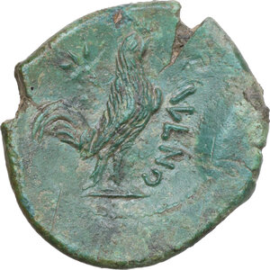 Reverse image