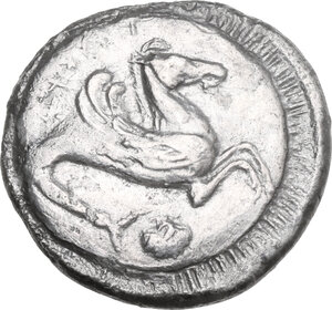 Reverse image