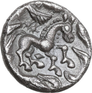 Reverse image