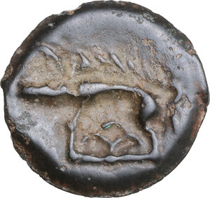 Reverse image