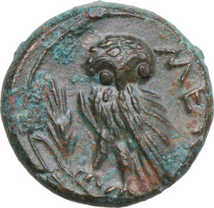 Reverse image