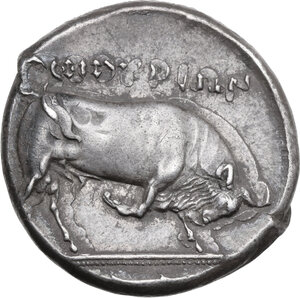 Reverse image
