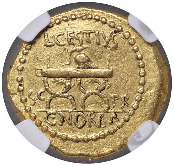 Rovescio moneta