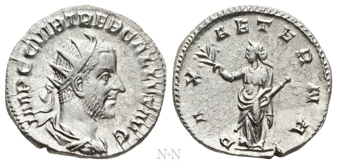 Dritto moneta