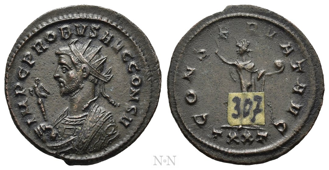 Dritto moneta