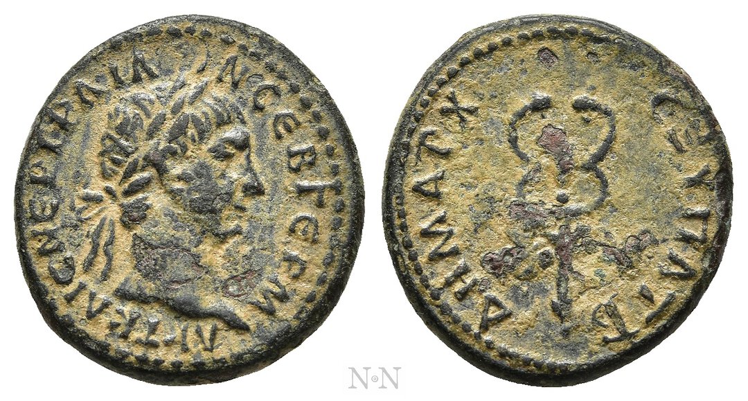 Dritto moneta