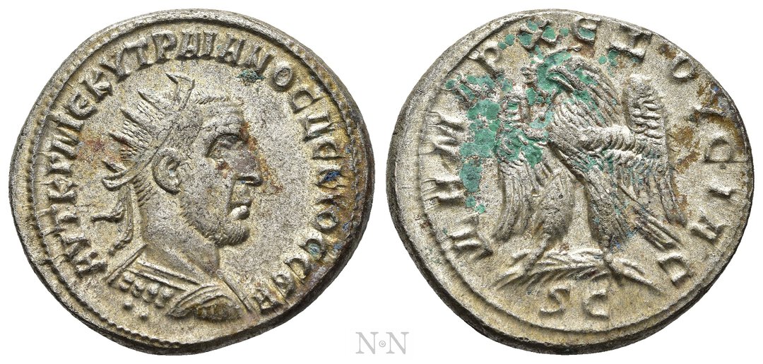 Dritto moneta