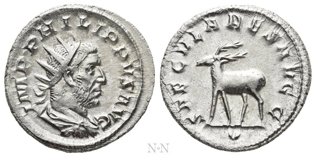 Dritto moneta