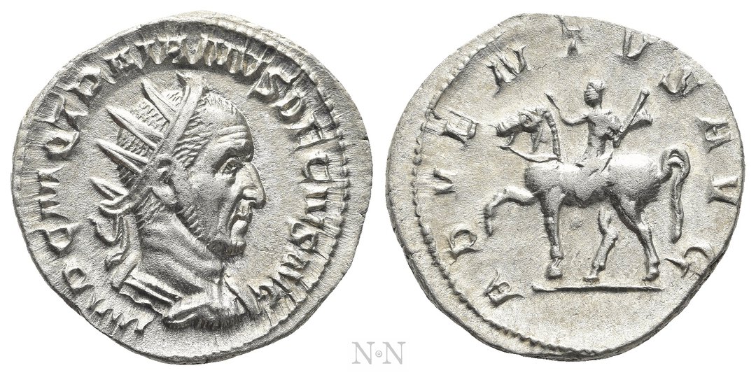 Dritto moneta