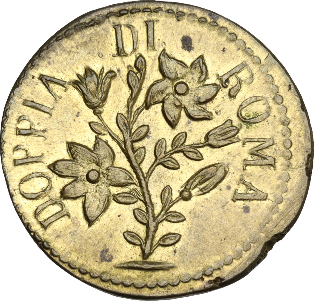 Dritto moneta
