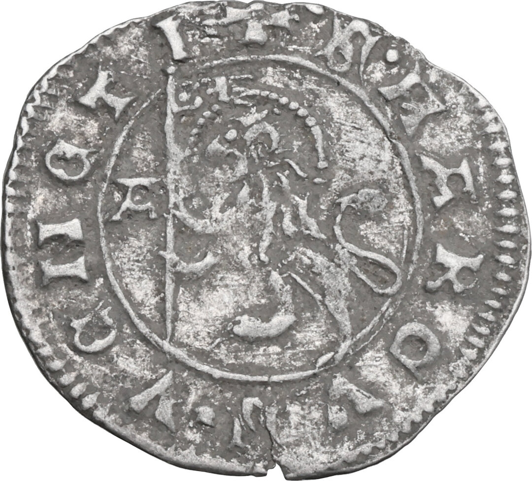 Rovescio moneta