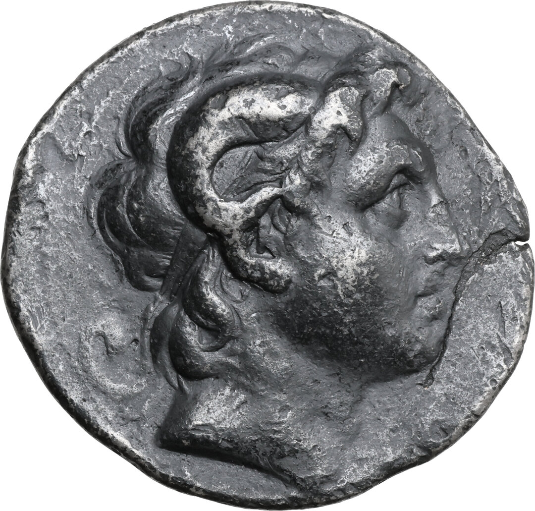 Dritto moneta