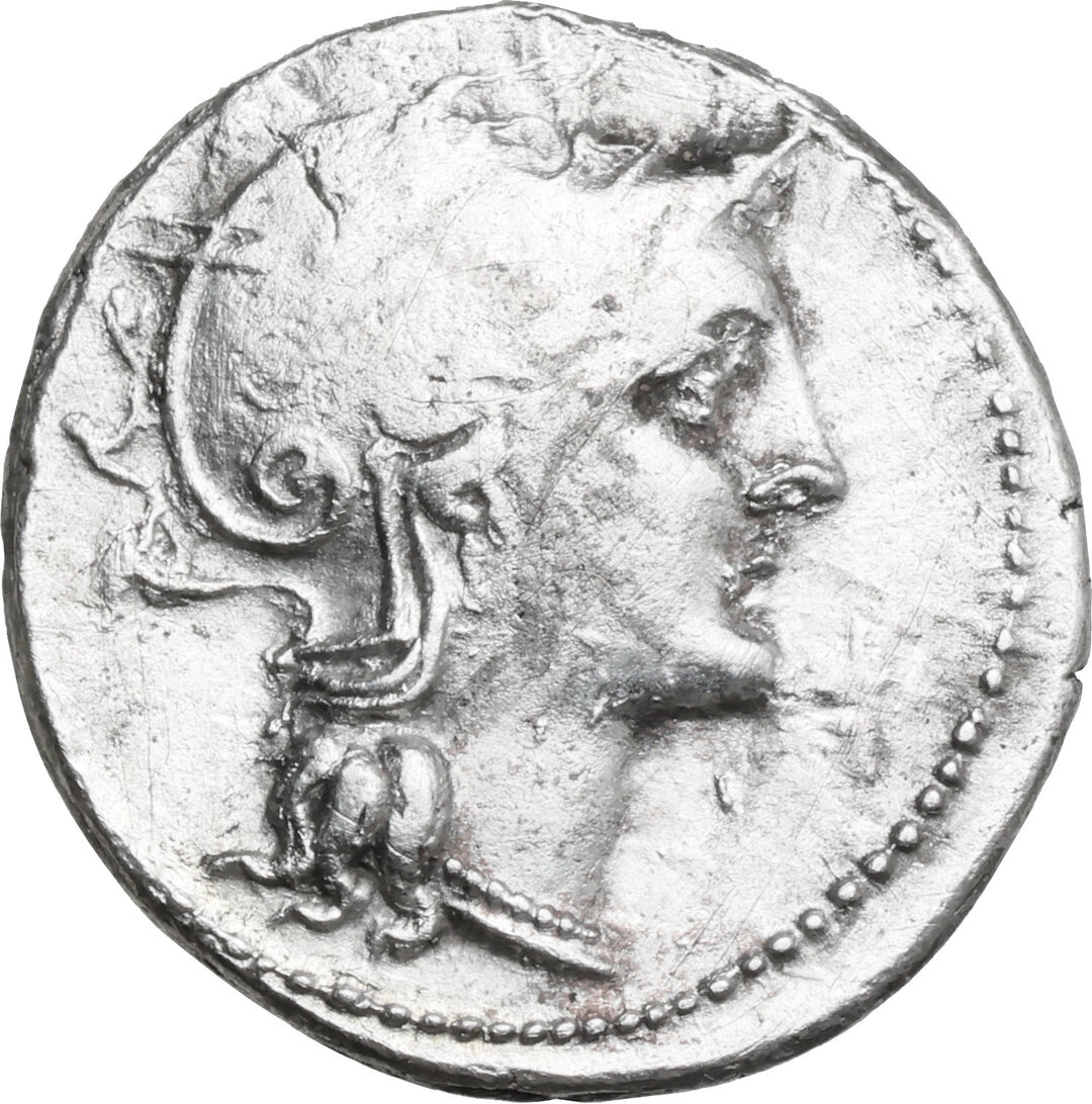 Dritto moneta