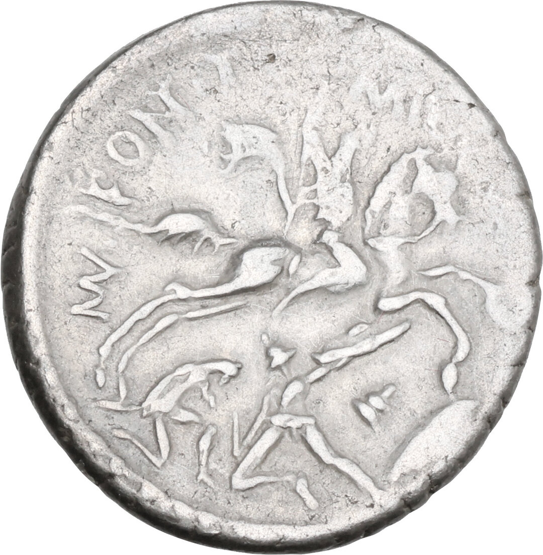 Rovescio moneta