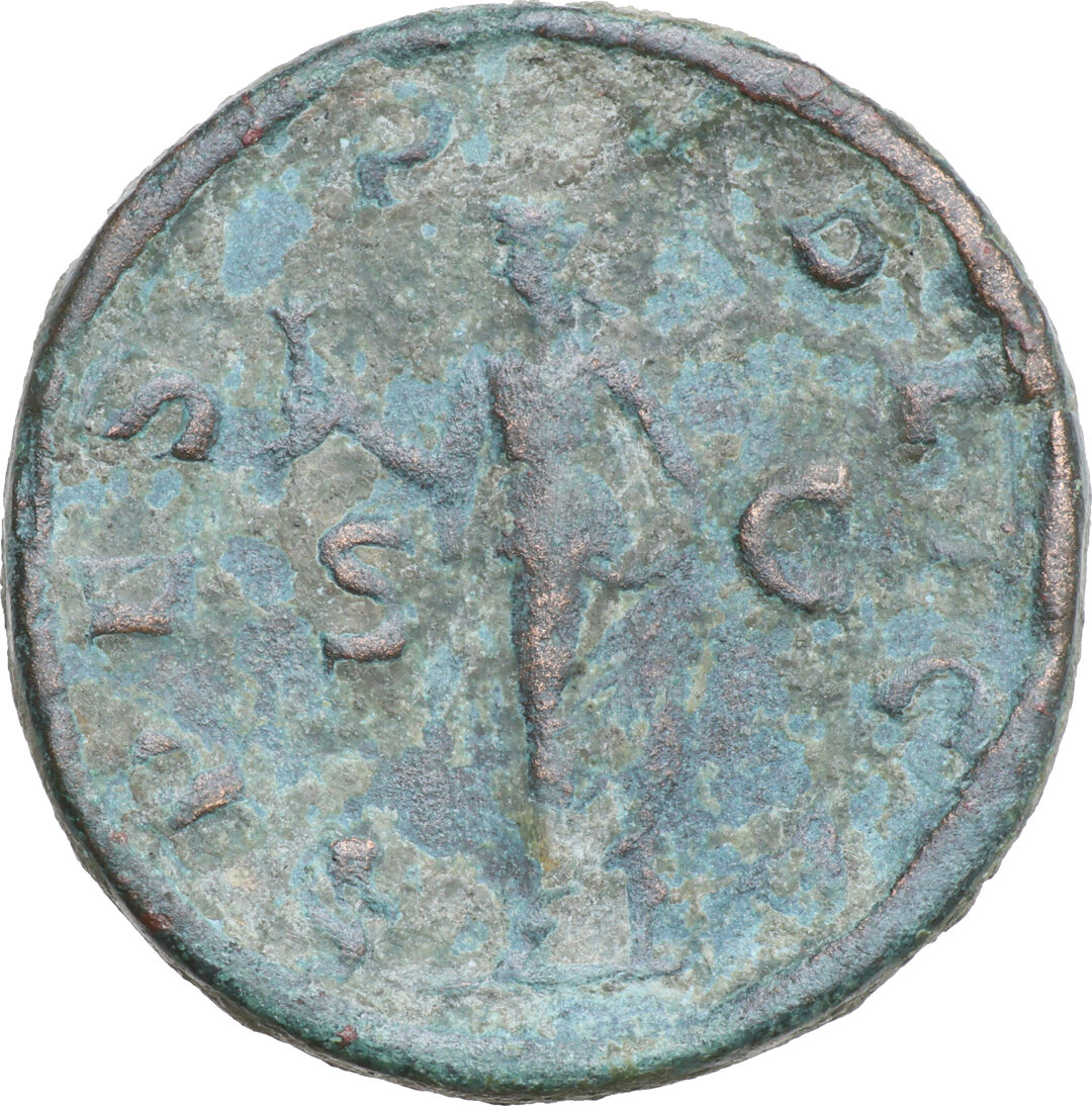 Rovescio moneta