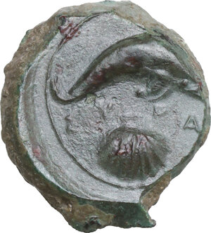 Reverse image