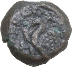 Reverse image