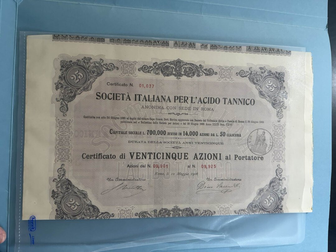 Dritto moneta