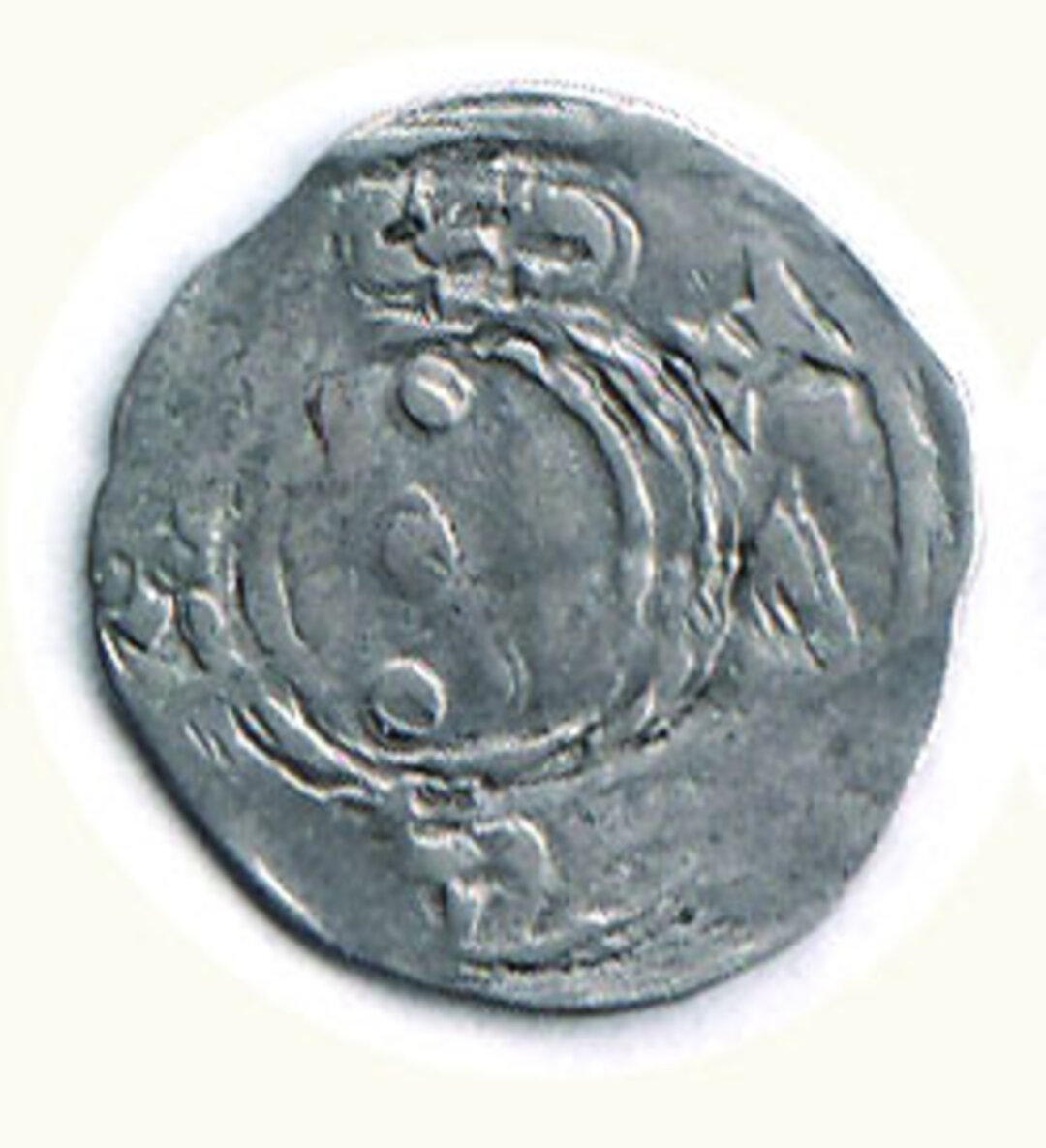 Dritto moneta