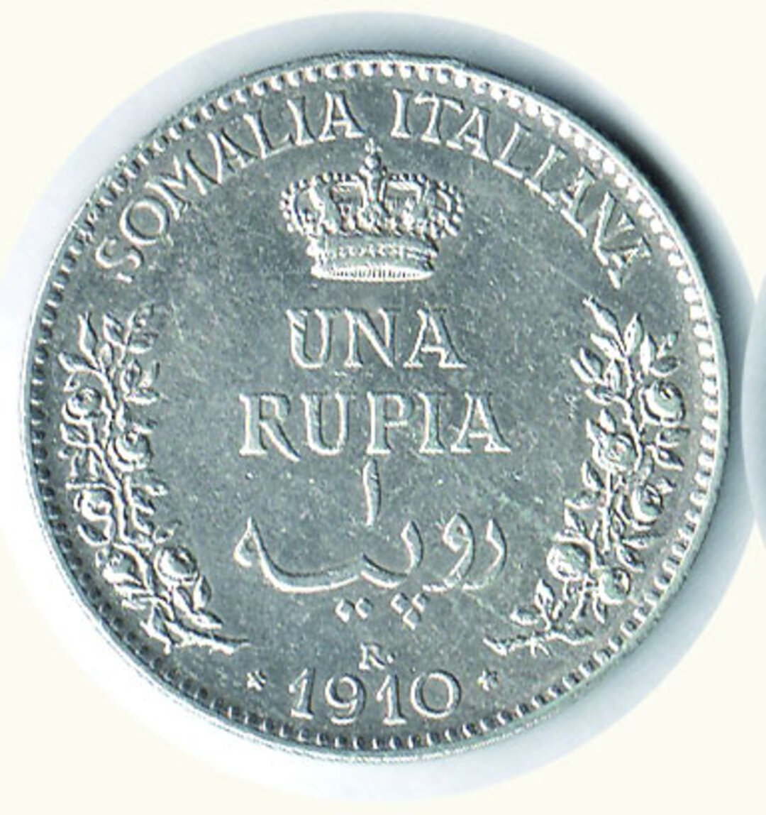 Dritto moneta