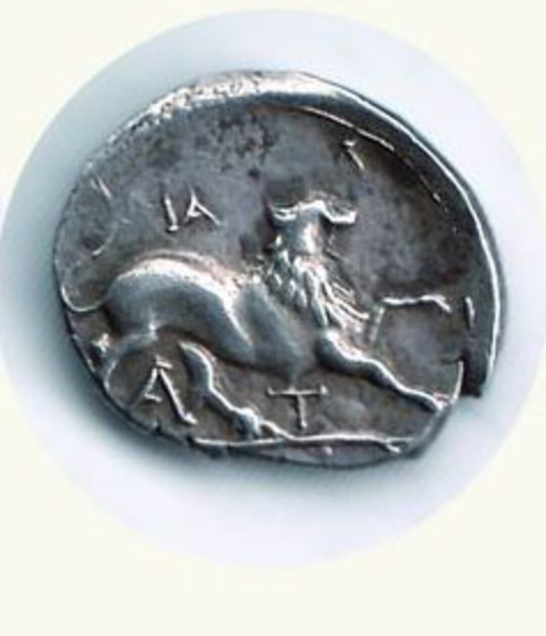 Rovescio moneta
