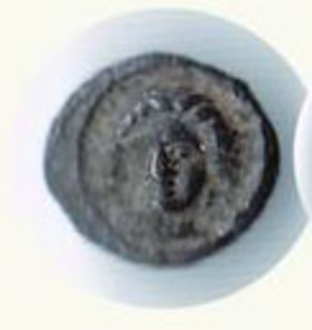 Dritto moneta
