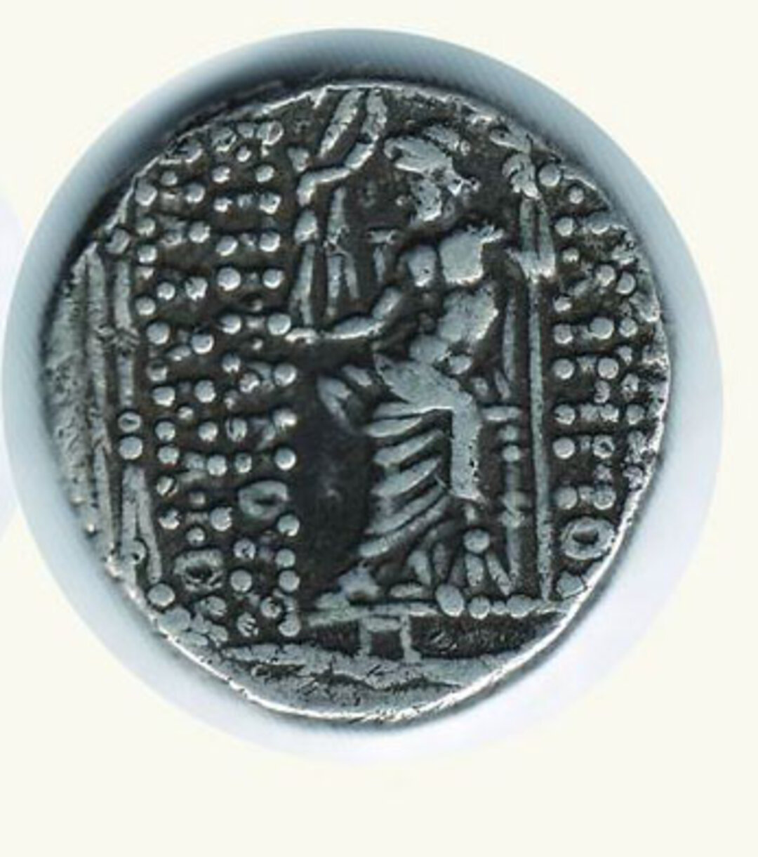 Rovescio moneta
