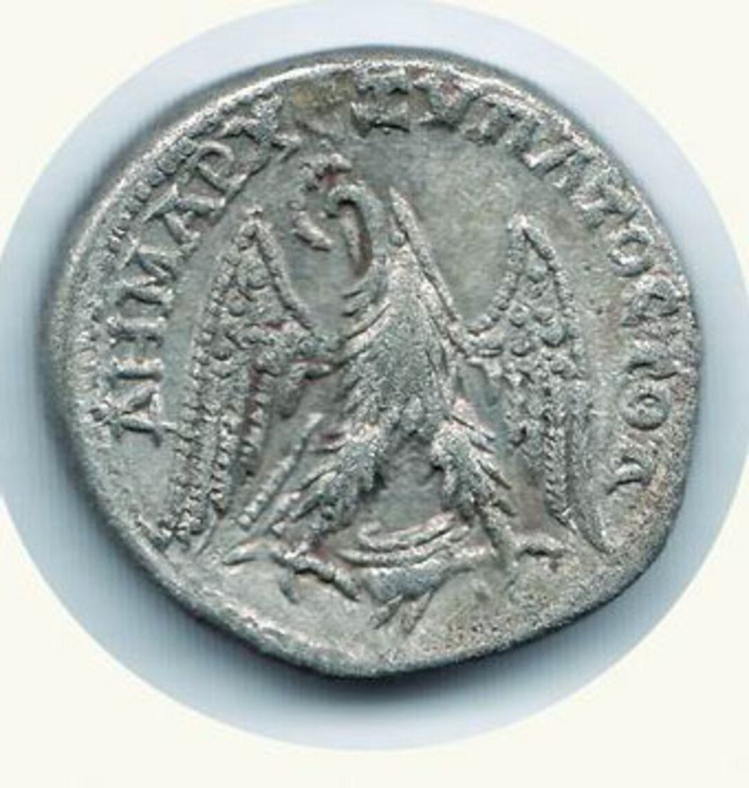 Rovescio moneta