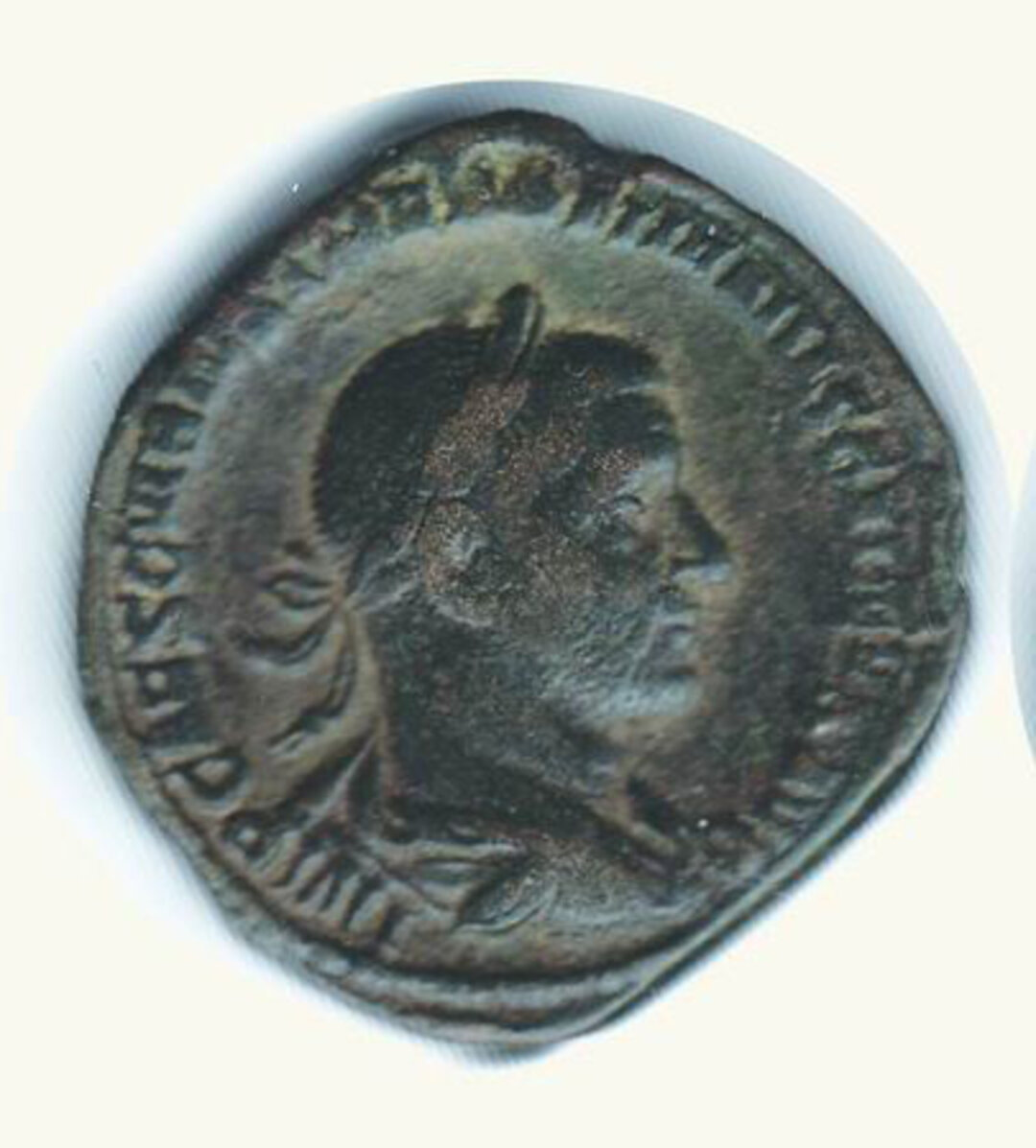 Dritto moneta