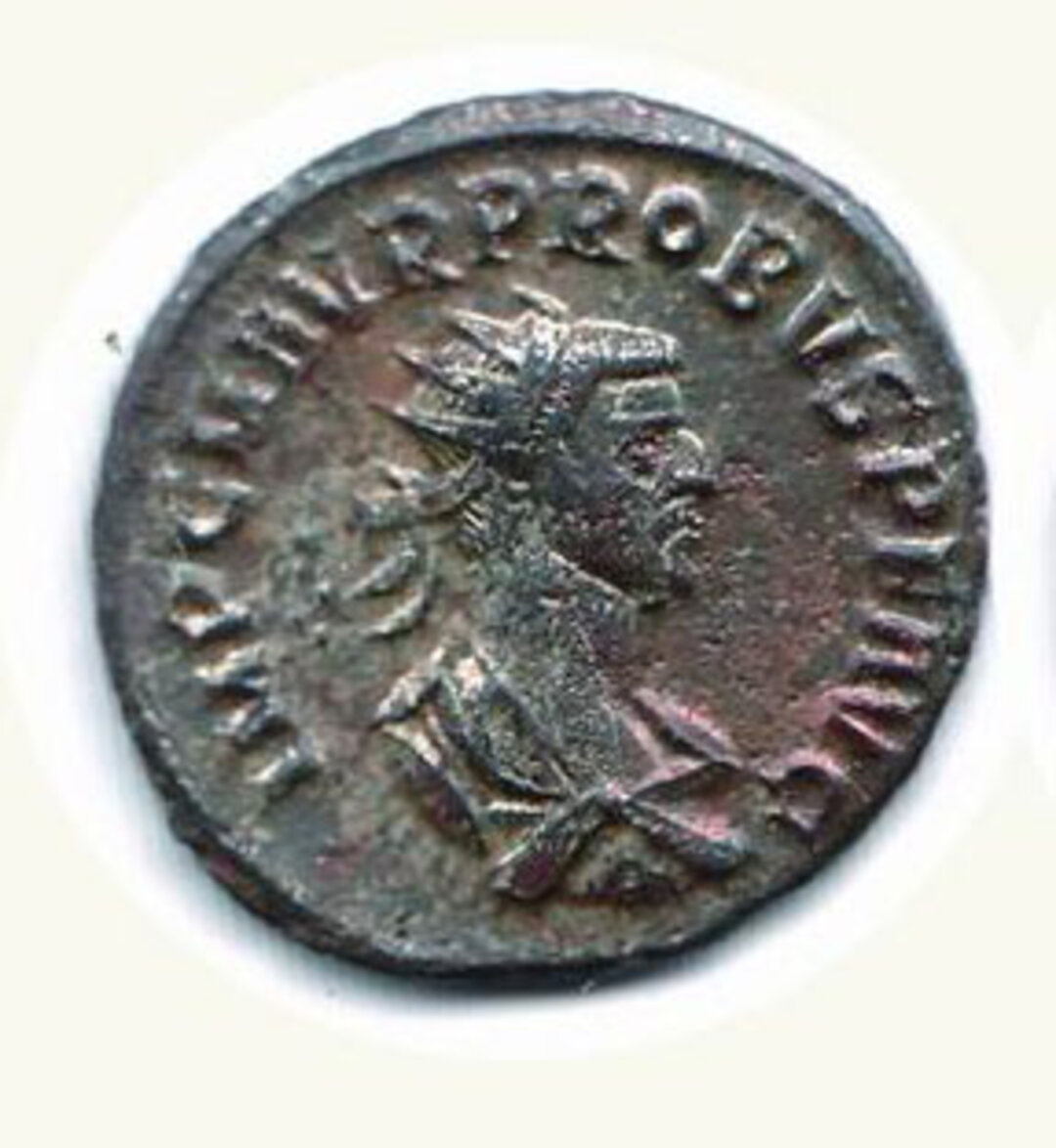 Dritto moneta