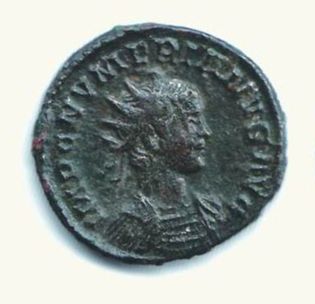 Dritto moneta