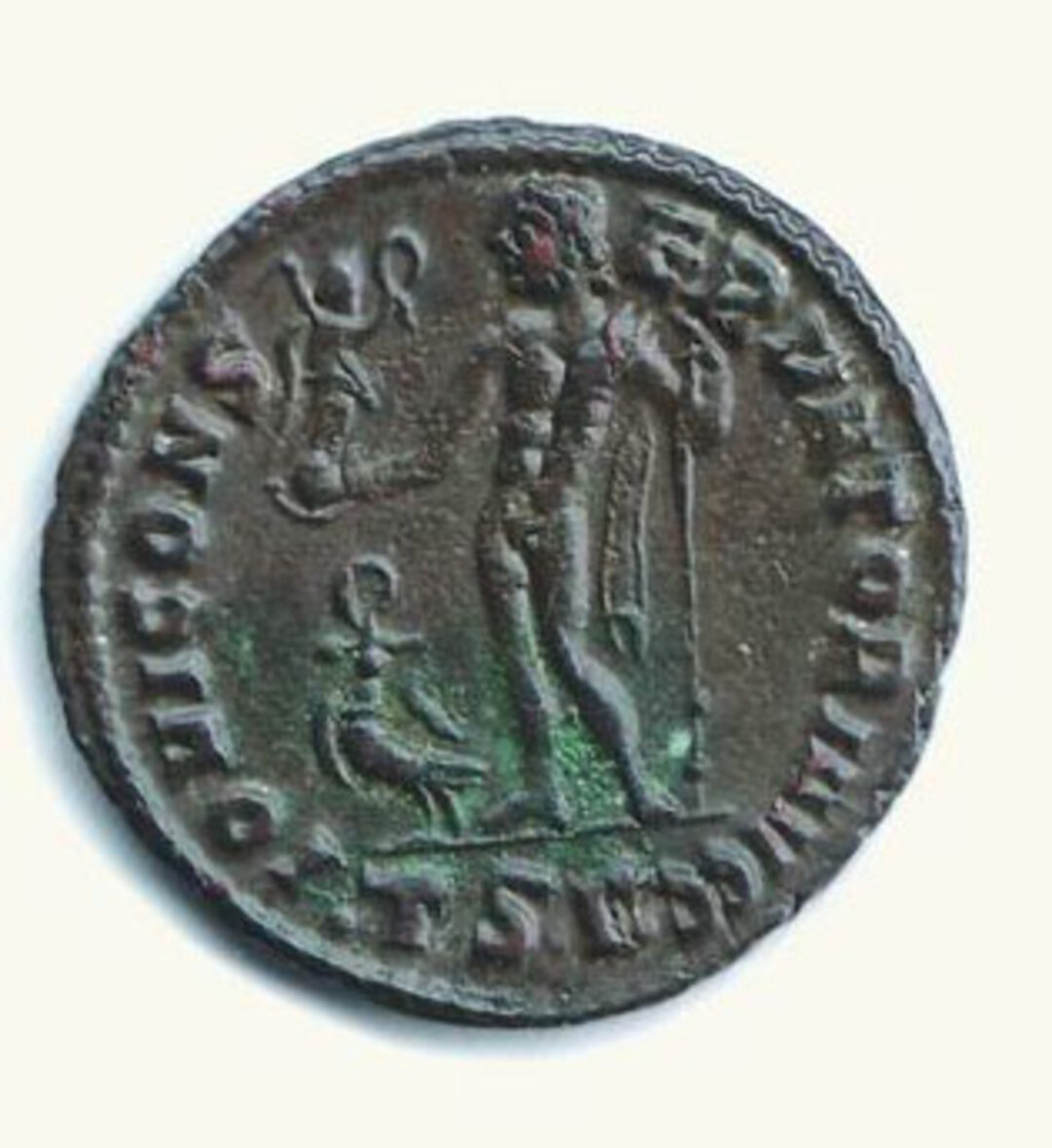 Rovescio moneta