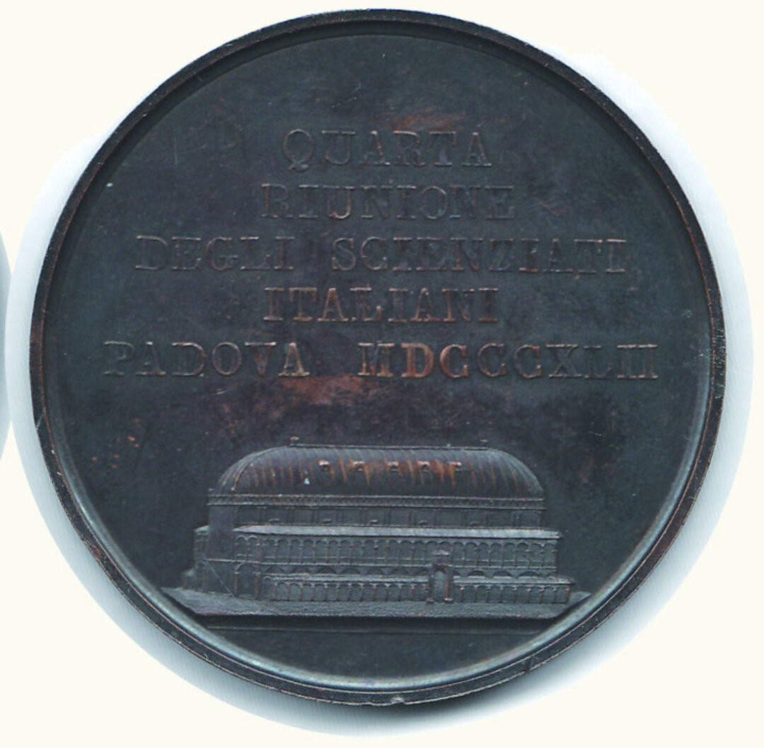 Rovescio moneta