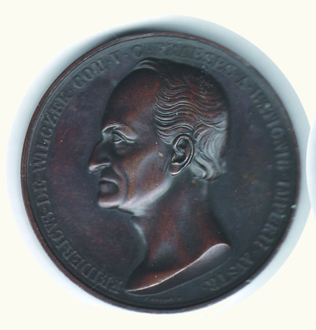 Dritto moneta
