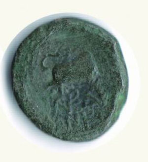 Reverse image