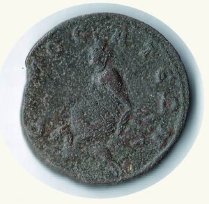 Reverse image
