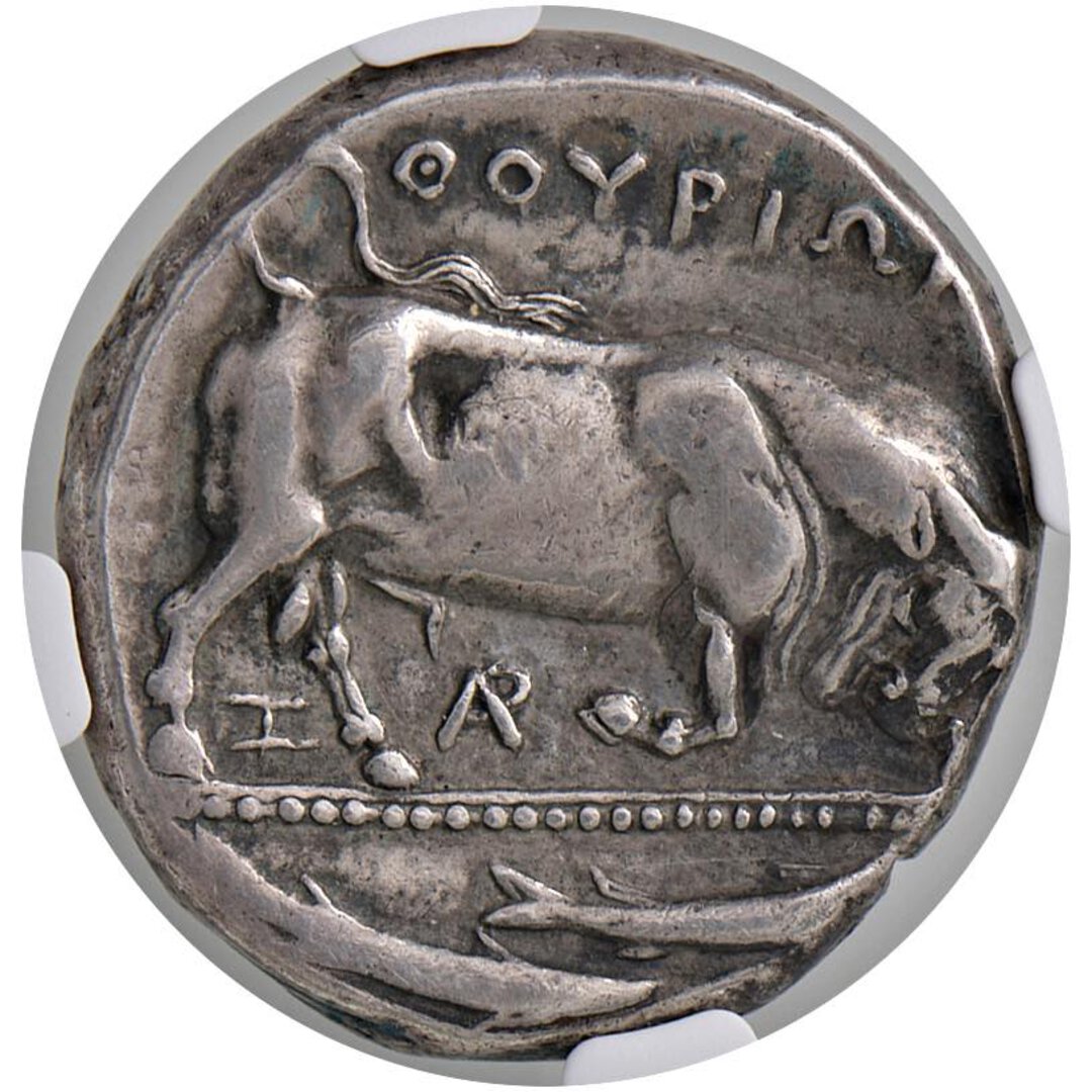 Rovescio moneta