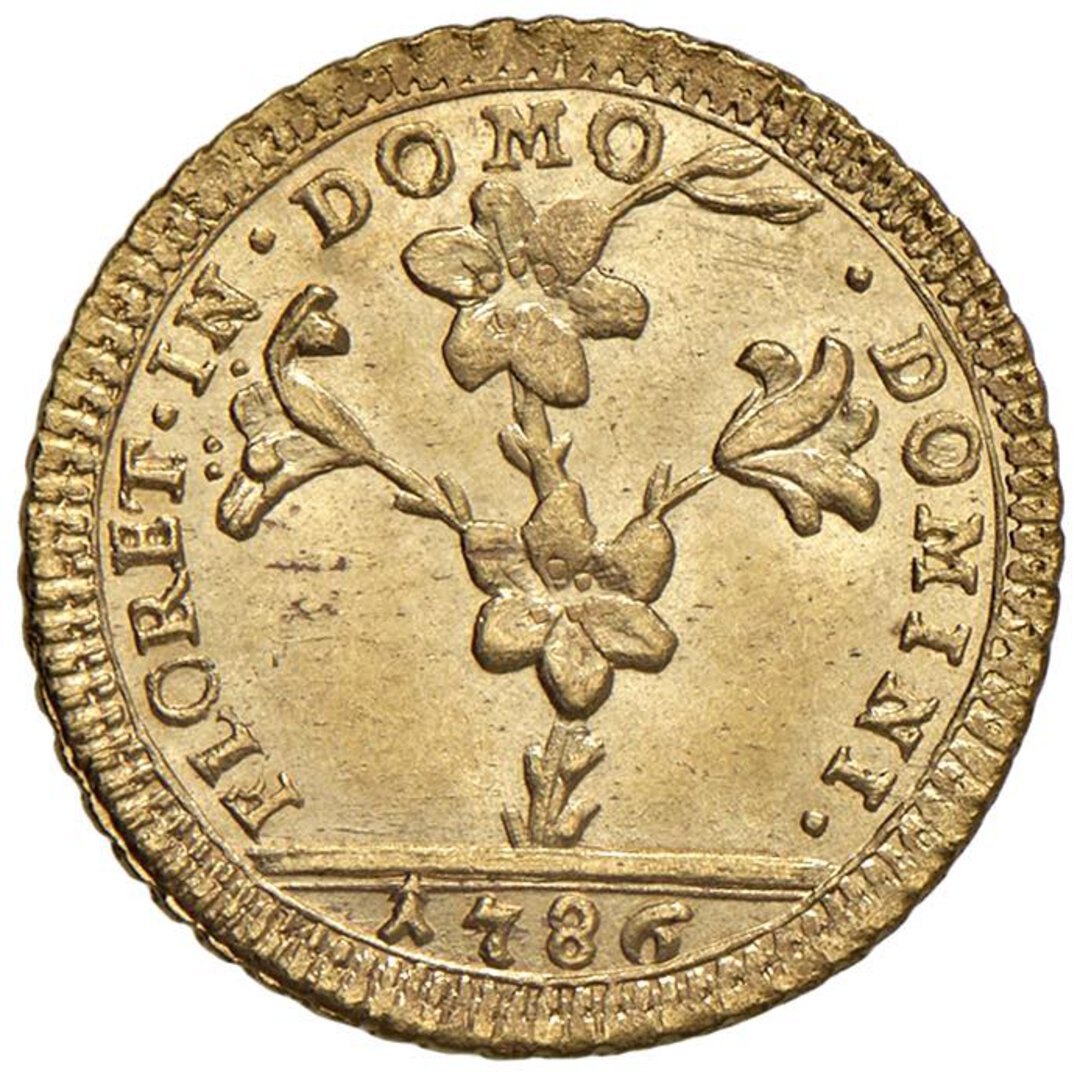 Dritto moneta