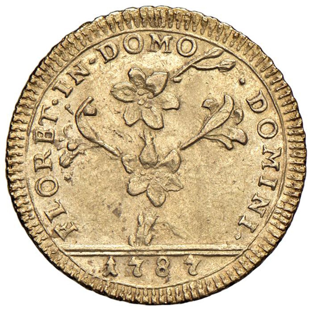 Dritto moneta