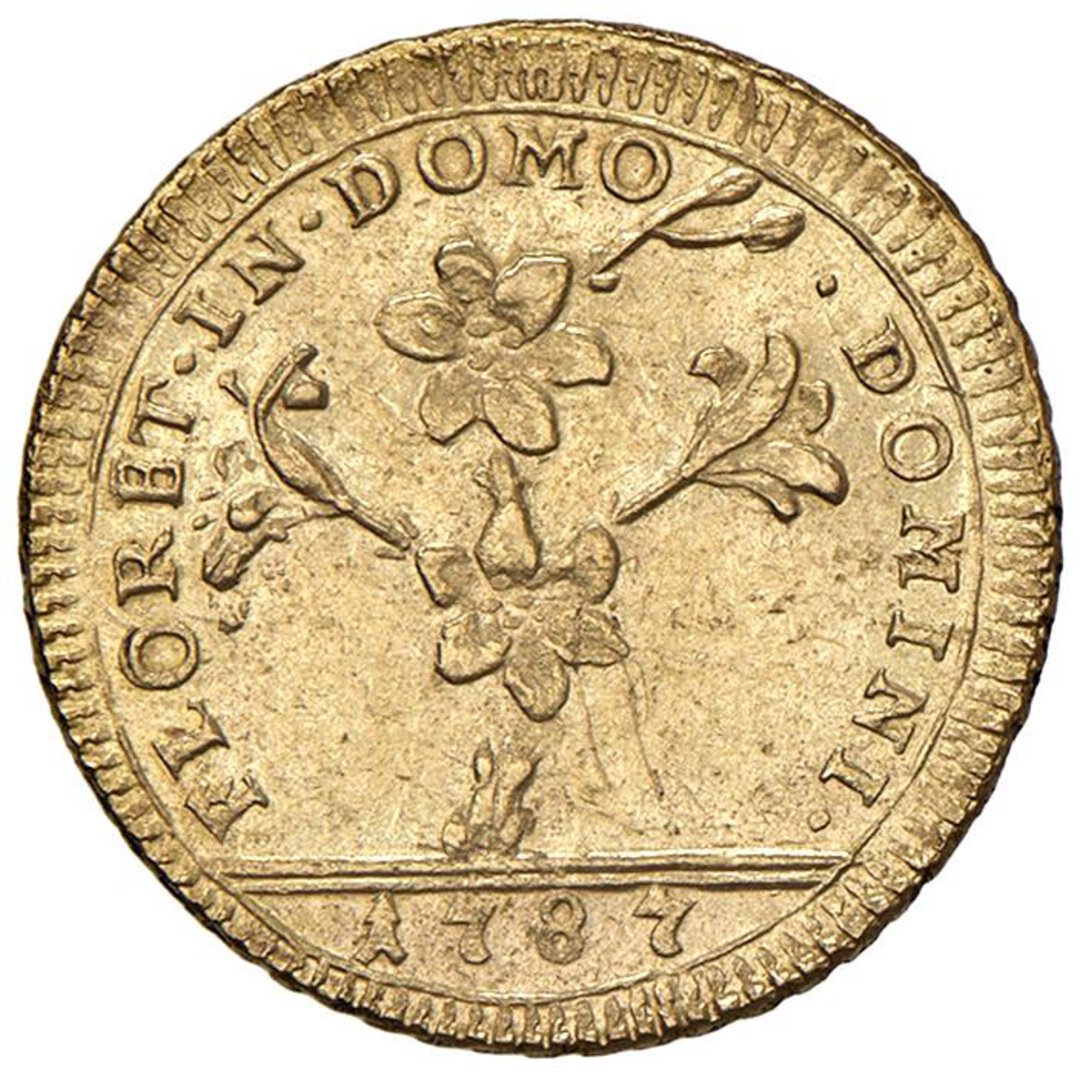 Dritto moneta