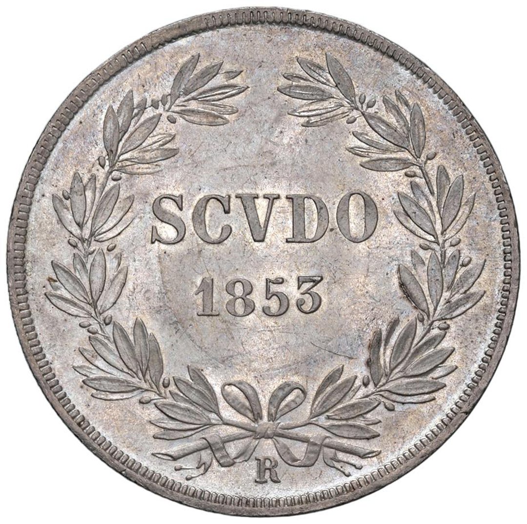 Rovescio moneta