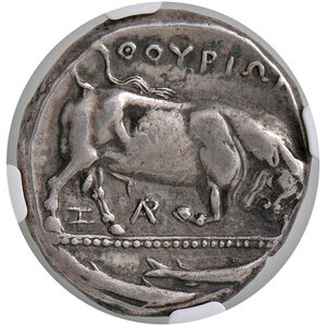 Reverse image